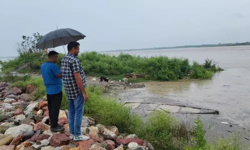 Haryana : यमुना का पानी घटने से किसानों को राहत