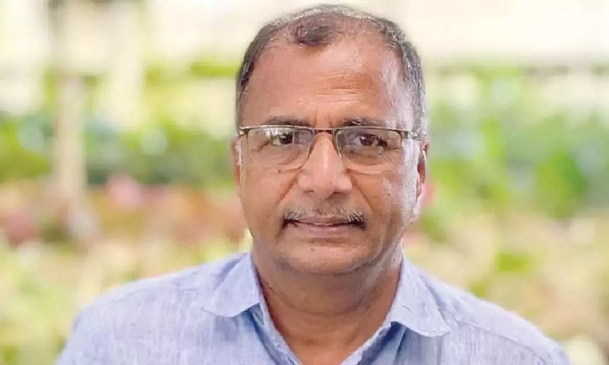 Andhra: सोमसुंदर आईजेयू के राष्ट्रीय महासचिव चुने गए Andhra: सोमसुंदर आईजेयू के राष्ट्रीय महासचिव चुने गए
