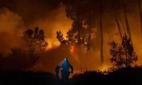 Europe की जंगली आग ने लगभग 20 वर्षों में सबसे अधिक भूमि को जला दिया Europe की जंगली आग ने लगभग 20 वर्षों में सबसे अधिक भूमि को जला दिया
