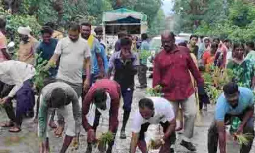 सड़क पर गड्ढे नहीं, अब खेती! नागरिकों ने किया विरोध प्रदर्शन सड़क पर गड्ढे नहीं, अब खेती! नागरिकों ने किया विरोध प्रदर्शन