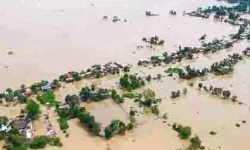 Chandrapur में सैकड़ों हेक्टेयर कृषि भूमि बाढ़ के पानी में डूबी Chandrapur में सैकड़ों हेक्टेयर कृषि भूमि बाढ़ के पानी में डूबी