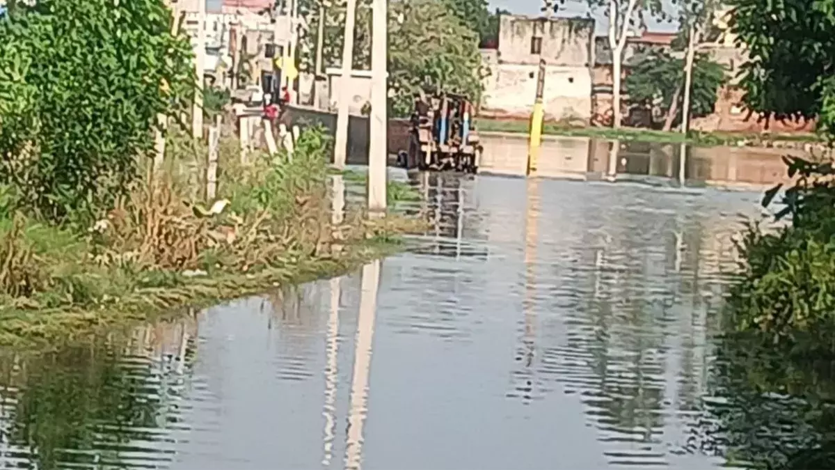 Sonipat: पानी के बढ़ने से सोनीपत के गांवों में हालात खराब Sonipat: पानी के बढ़ने से सोनीपत के गांवों में हालात खराब