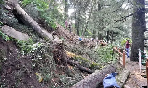 Shimla में भूस्खलन के बाद 40 लोगों को निकाला गया Shimla में भूस्खलन के बाद 40 लोगों को निकाला गया