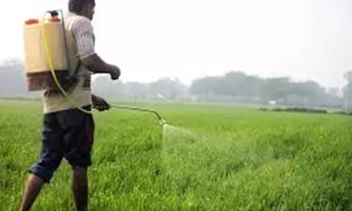 तेलंगाना में यूरिया संकट: किसानों में गुस्सा, प्रदर्शन और पैदावार प्रभावित तेलंगाना में यूरिया संकट: किसानों में गुस्सा, प्रदर्शन और पैदावार प्रभावित