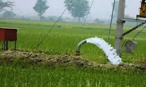 बिहार के 20 बाजारों में ई-नाम लागू, किसानों को मिलेगा राष्ट्रीय स्तर पर उपज बिक्री का प्लेटफॉर्म