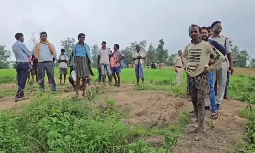 CG: हाथी हमले में मौत के बाद मुआवजे पर ‘छह पत्नियों’ का दावा
