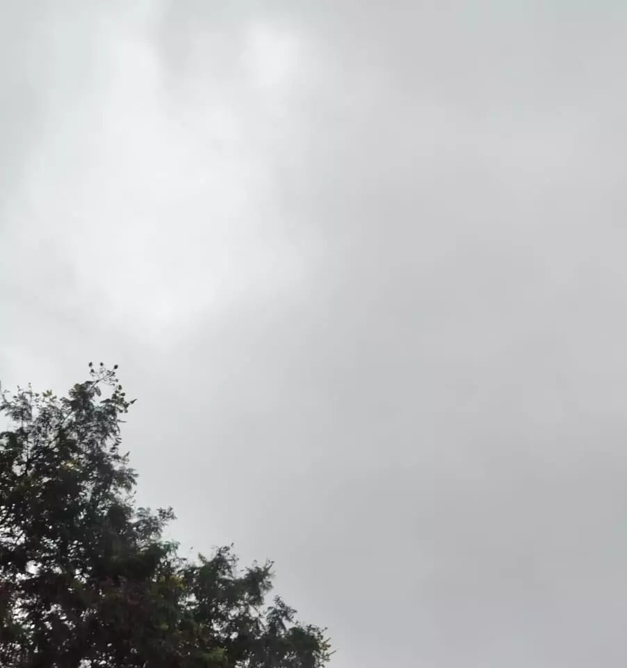 रायपुर में आज भारी बारिश का अलर्ट रायपुर में आज भारी बारिश का अलर्ट