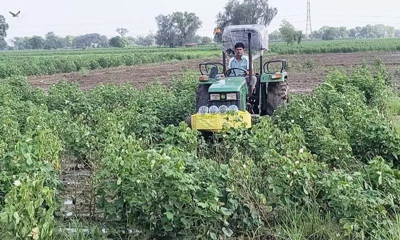 Gurdaspur, पठानकोट के सीमावर्ती गांवों के लिए बुनियादी ढांचे को बढ़ावा Gurdaspur, पठानकोट के सीमावर्ती गांवों के लिए बुनियादी ढांचे को बढ़ावा