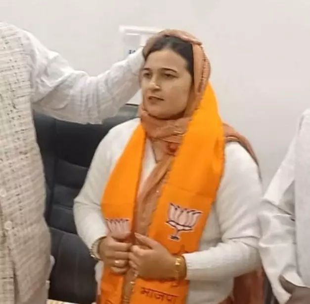 Panipat: पानीपत में जिला परिषद की पूर्व चेयरपर्सन कानूनी शिकंजे में Panipat: पानीपत में जिला परिषद की पूर्व चेयरपर्सन कानूनी शिकंजे में