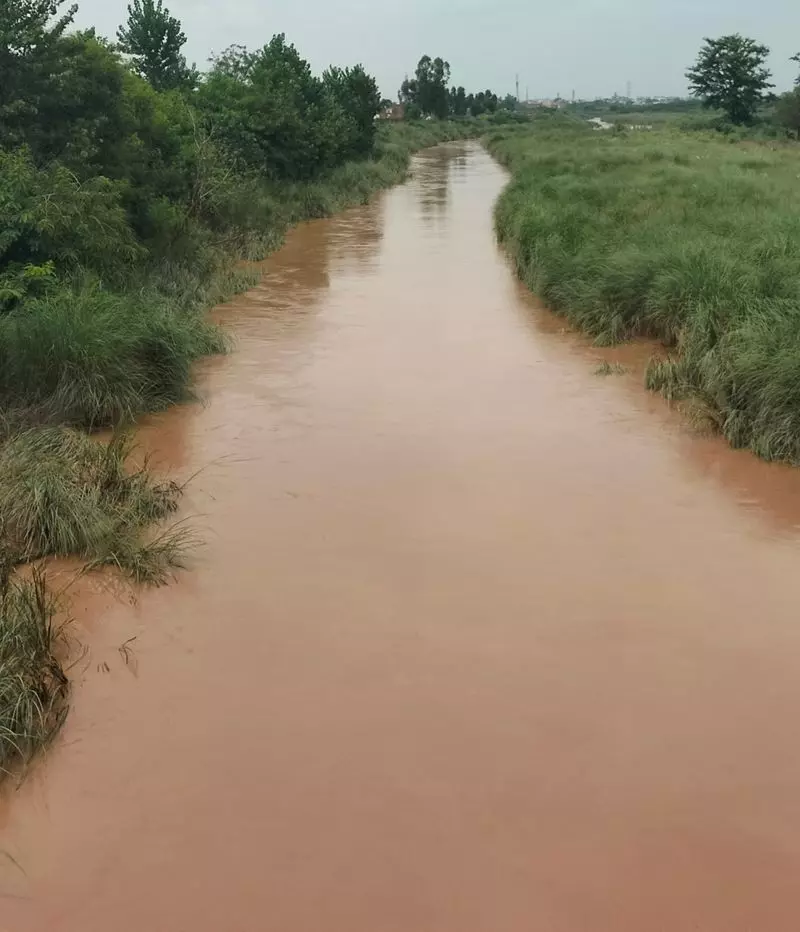 Haryana : टांगरी नदी में पानी का तेज बहाव, निवासियों में दहशत Haryana : टांगरी नदी में पानी का तेज बहाव, निवासियों में दहशत