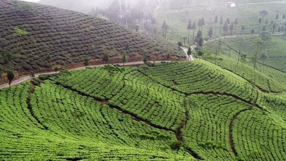 Assam सरकार कछार में चाय बागान श्रमिकों के लिए विश्राम सुविधाएं शुरू Assam सरकार कछार में चाय बागान श्रमिकों के लिए विश्राम सुविधाएं शुरू