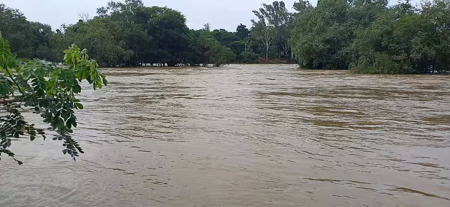 नाव यातायात निलंबित; पर्यटकों के लिए प्रतिबंध नाव यातायात निलंबित; पर्यटकों के लिए प्रतिबंध