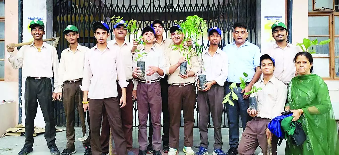 जिला के स्कूलों में एक पेड़ मां के नाम अभियान के तहत लगाए पौधे जिला के स्कूलों में एक पेड़ मां के नाम अभियान के तहत लगाए पौधे