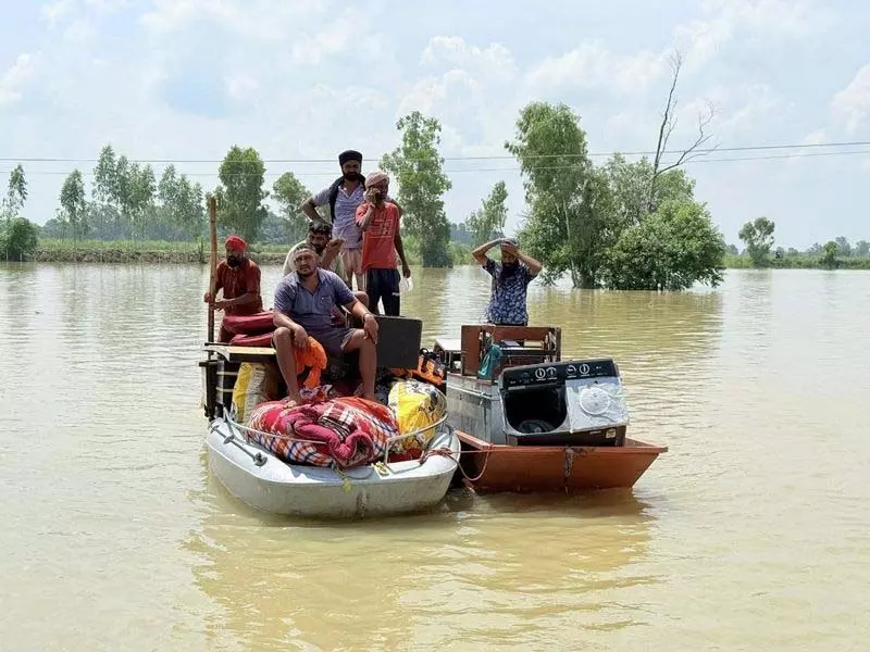 Jalandhar: 30,000 एकड़ में फसलें 5 फीट पानी के नीचे Jalandhar: 30,000 एकड़ में फसलें 5 फीट पानी के नीचे