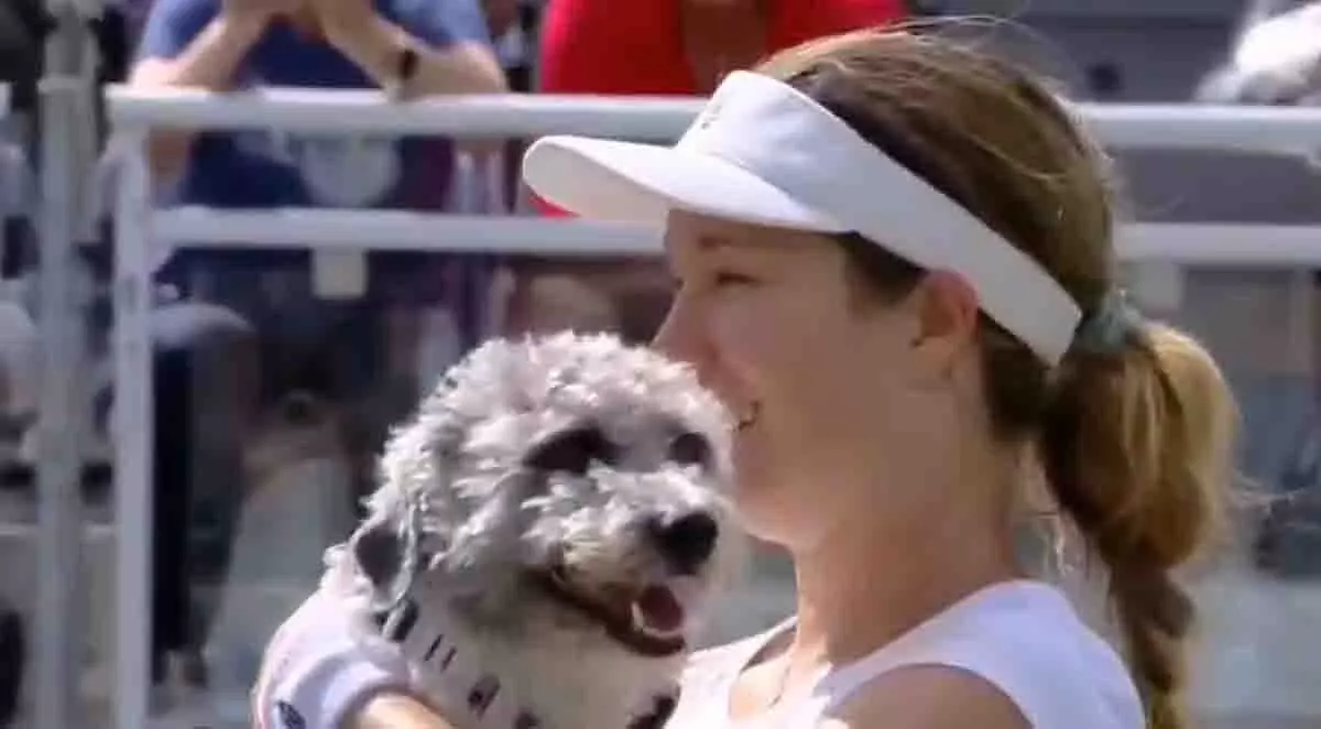 US Open : डैनियल कॉलिन्स और उनका कुत्ता क्विंसी बिगड़ रहे हैं US Open : डैनियल कॉलिन्स और उनका कुत्ता क्विंसी बिगड़ रहे हैं