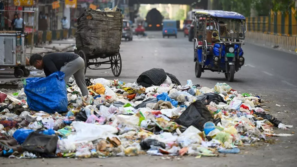 Jaipur: निगम प्रशासन ने सड़कों पर उतरकर किया सफाई अभियान Jaipur: निगम प्रशासन ने सड़कों पर उतरकर किया सफाई अभियान