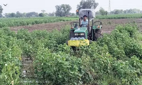Gurdaspur, पठानकोट के सीमावर्ती गांवों के लिए बुनियादी ढांचे को बढ़ावा Gurdaspur, पठानकोट के सीमावर्ती गांवों के लिए बुनियादी ढांचे को बढ़ावा