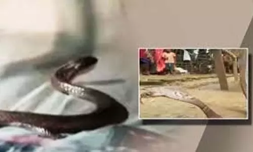 Baripada के प्रतापपुर गाँव में घटी दिल दहला देने वाली घटना