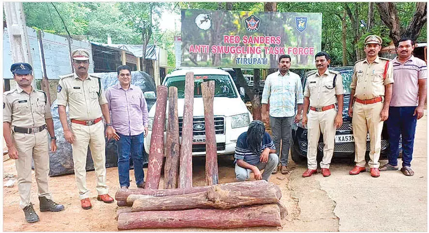 Andhra: एक व्यक्ति गिरफ्तार, 20 लाल चंदन की लकड़ियां जब्त Andhra: एक व्यक्ति गिरफ्तार, 20 लाल चंदन की लकड़ियां जब्त