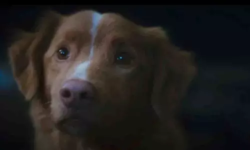 Good Boy ट्रेलर