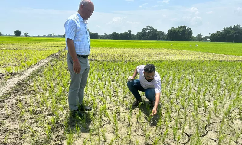 Tripura का आधे से अधिक क्षेत्र खाद्यान्न उत्पादन में आत्मनिर्भर: मंत्री