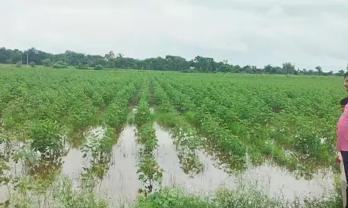 Shahpur : कृष्णा नदी बेसिन में फिर बाढ़ की आशंका