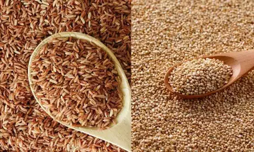 रक्त शर्करा नियंत्रण के लिए क्विनोआ या ब्राउन राइस? रक्त शर्करा नियंत्रण के लिए क्विनोआ या ब्राउन राइस?