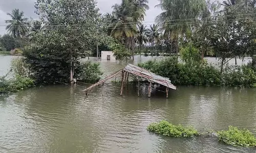 कृषि भूमि बाढ़ग्रस्त: फसलें नष्ट