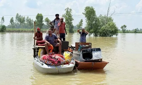 Jalandhar: 30,000 एकड़ में फसलें 5 फीट पानी के नीचे Jalandhar: 30,000 एकड़ में फसलें 5 फीट पानी के नीचे