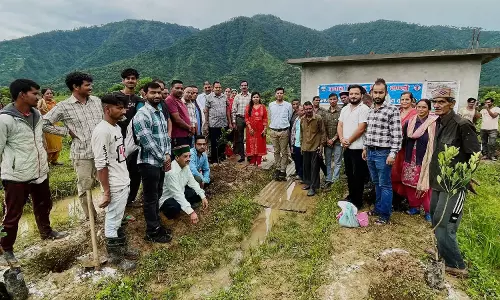 Mandi: बिनोल क्लस्टर में लोगों ने मिलकर किया पौधारोपण Mandi: बिनोल क्लस्टर में लोगों ने मिलकर किया पौधारोपण