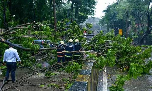 Thane: भारी बारिश और तेज़ हवाओं के बीच 24 घंटे में 44 पेड़ गिरे