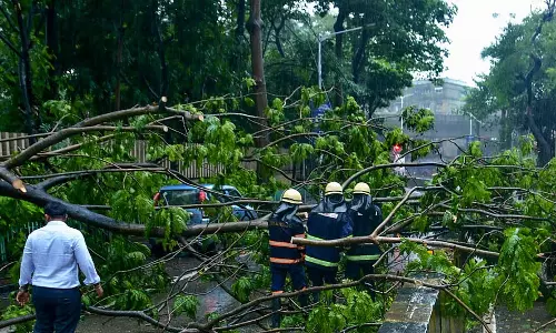 Thane में लगातार बारिश से शहर में पेड़ गिरने और दीवारें ध्वस्त, प्रशासन अलर्ट पर Thane में लगातार बारिश से शहर में पेड़ गिरने और दीवारें ध्वस्त, प्रशासन अलर्ट पर