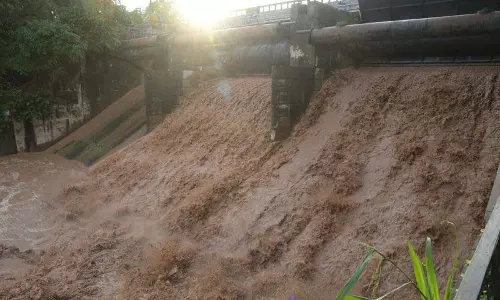 Chandigarh: सुखना नदी के दो द्वार खोले गए