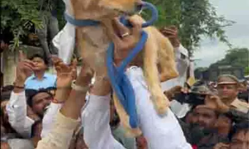 Madhya Pradesh: कांग्रेस का अनोखा प्रदर्शन, कुत्ते को ज्ञापन सौंपा