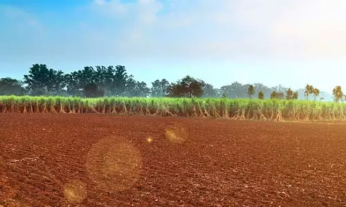सरकारी नियमों की अनदेखी कर हो रहा है भूमि हस्तांतरण सरकारी नियमों की अनदेखी कर हो रहा है भूमि हस्तांतरण