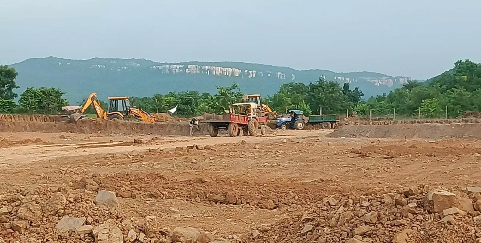 जंगल की रजिस्ट्री, पटवारी तहसीलदार और उप-पंजीयक ने किया बड़ा खेल जंगल की रजिस्ट्री, पटवारी तहसीलदार और उप-पंजीयक ने किया बड़ा खेल