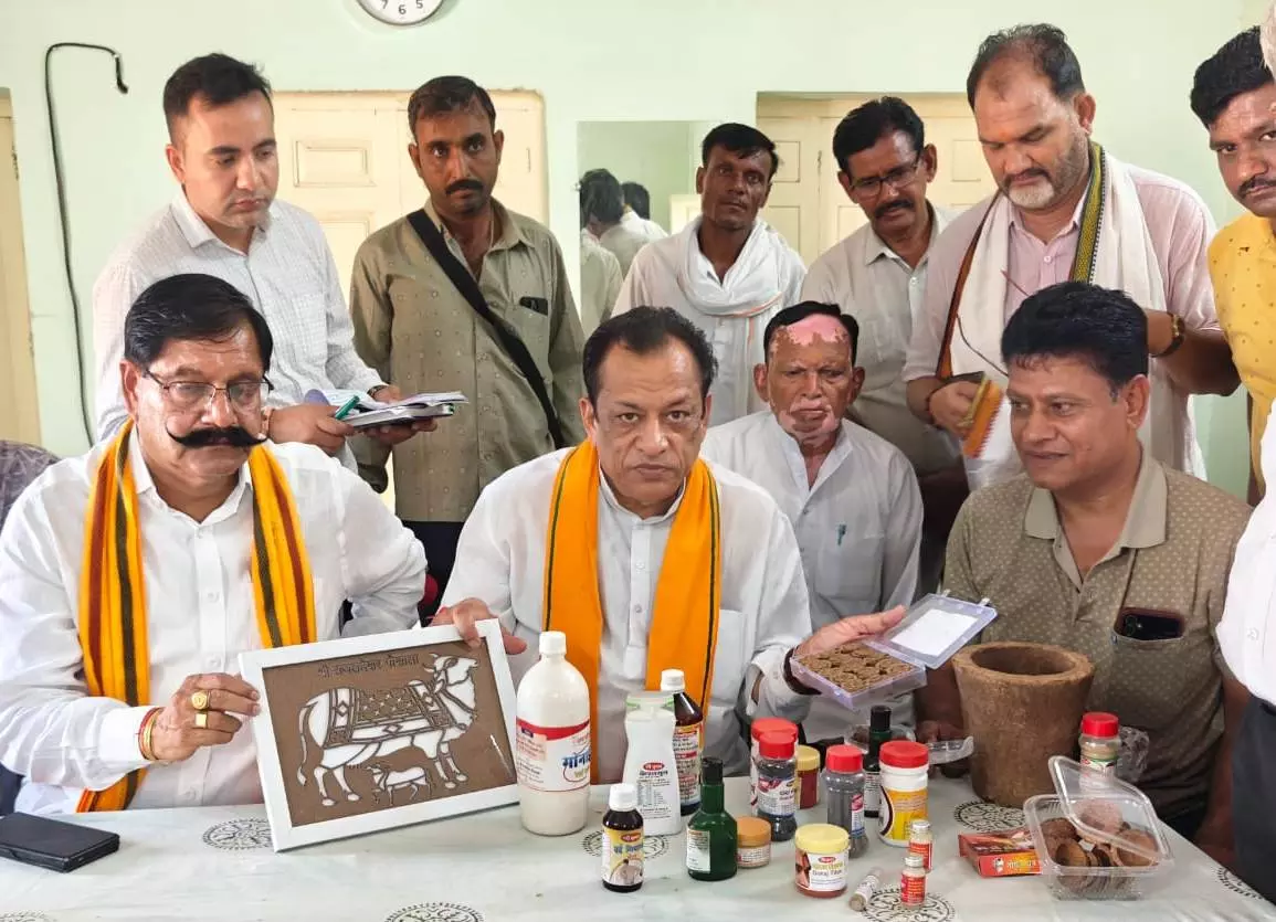 Jaipur: गोपालन मंत्री ने चूरू में राजलदेसर गौशाला का किया औचक निरीक्षण Jaipur: गोपालन मंत्री ने चूरू में राजलदेसर गौशाला का किया औचक निरीक्षण