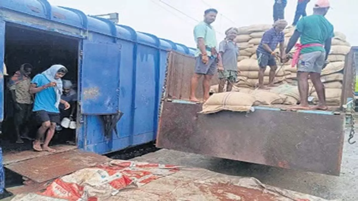 FCI ने आंध्र प्रदेश को 26,000 क्विंटल कोरापुट रागी भेजी FCI ने आंध्र प्रदेश को 26,000 क्विंटल कोरापुट रागी भेजी