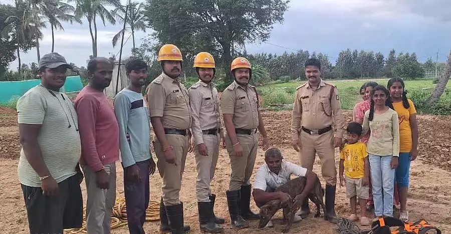 Devanahalli : कुएं में गिरे कुत्ते को बचाया गया Devanahalli : कुएं में गिरे कुत्ते को बचाया गया