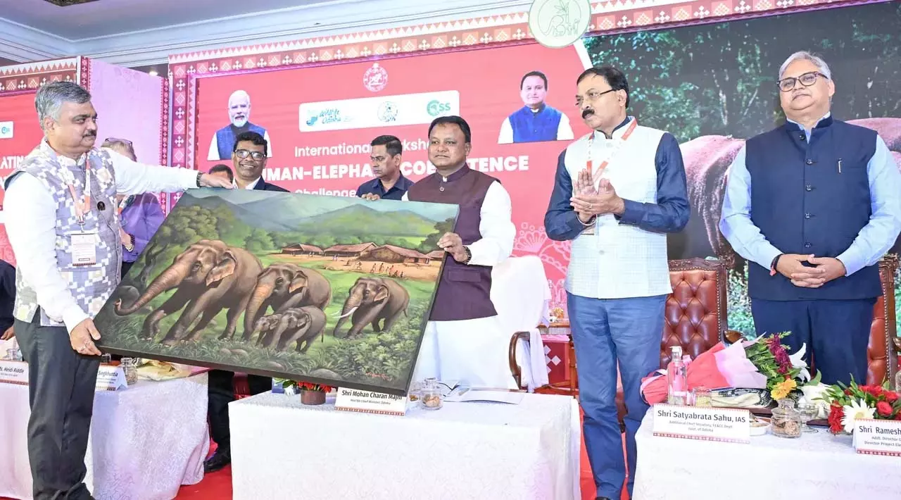 Odisha : चंदका वन के पास एशियाई हाथियों के लिए दुनिया का पहला केंद्र बनेगा Odisha : चंदका वन के पास एशियाई हाथियों के लिए दुनिया का पहला केंद्र बनेगा