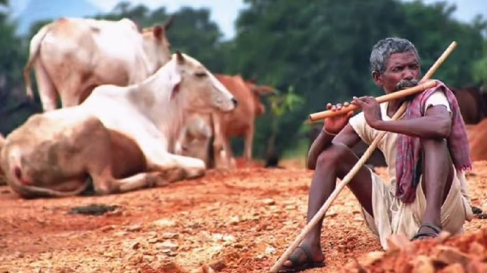 Assam : आयुक्त से आगामी जनगणना में आदिवासी धर्मों को मान्यता देने का आग्रह किया Assam : आयुक्त से आगामी जनगणना में आदिवासी धर्मों को मान्यता देने का आग्रह किया