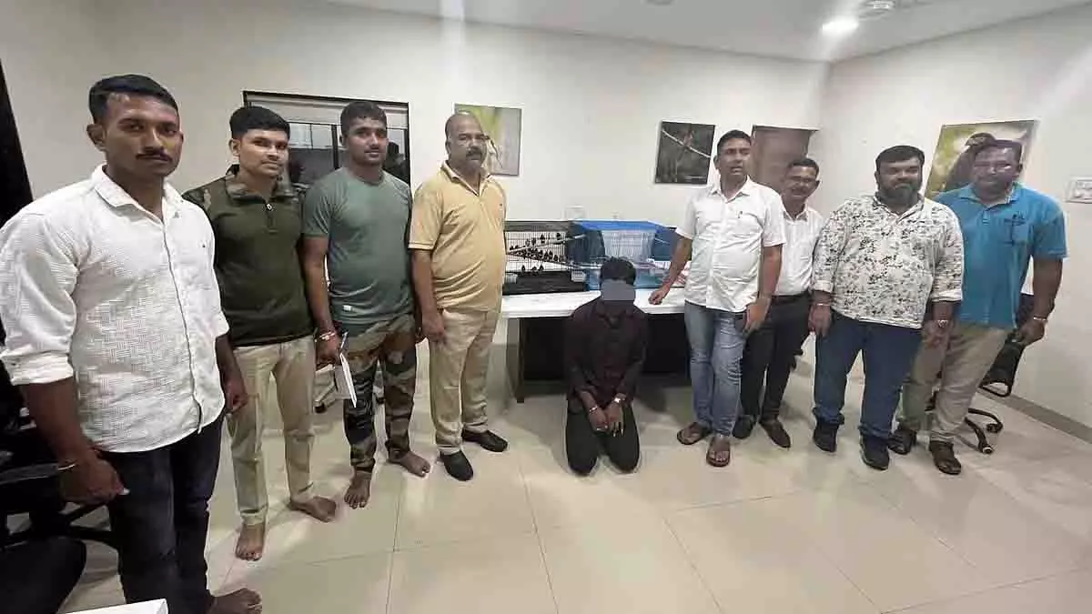 Navi Mumbai: 42 मुनिया पक्षियों की तस्करी नाकाम, दो आरोपी अरेस्ट Navi Mumbai: 42 मुनिया पक्षियों की तस्करी नाकाम, दो आरोपी अरेस्ट