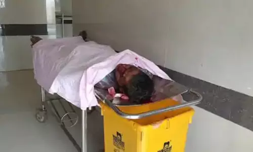 बिलासपुर में 3 लोगों की मौत, कई हादसे हुए