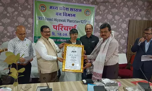 MP : वर्ल्ड बुक ऑफ रिकॉर्ड्स ने इंदौर के वन अभियान को सम्मानित किया