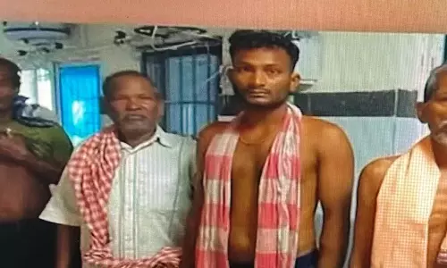 Odisha : गंजम में आवारा कुत्तों के काटने का सिलसिला जारी, 12 लोग घायल