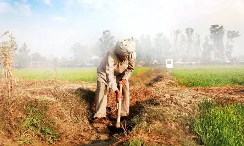 Punjab में मंडी मजदूरी दर 10% बढ़ी