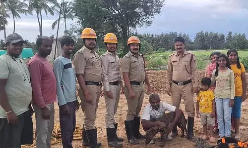 Devanahalli : कुएं में गिरे कुत्ते को बचाया गया Devanahalli : कुएं में गिरे कुत्ते को बचाया गया