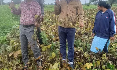 भारी बारिश: विभिन्न स्थानों पर 20 घर क्षतिग्रस्त