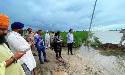 सतलुज का जलस्तर बढ़ा, Ferozepur में 15 हजार एकड़ जमीन जलमग्न सतलुज का जलस्तर बढ़ा, Ferozepur में 15 हजार एकड़ जमीन जलमग्न