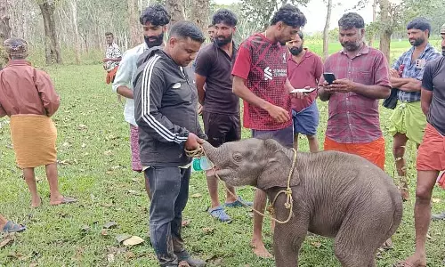 Karnataka : मैरिएन को उसकी माँ से मिलाने के लिए संयुक्त प्रयास